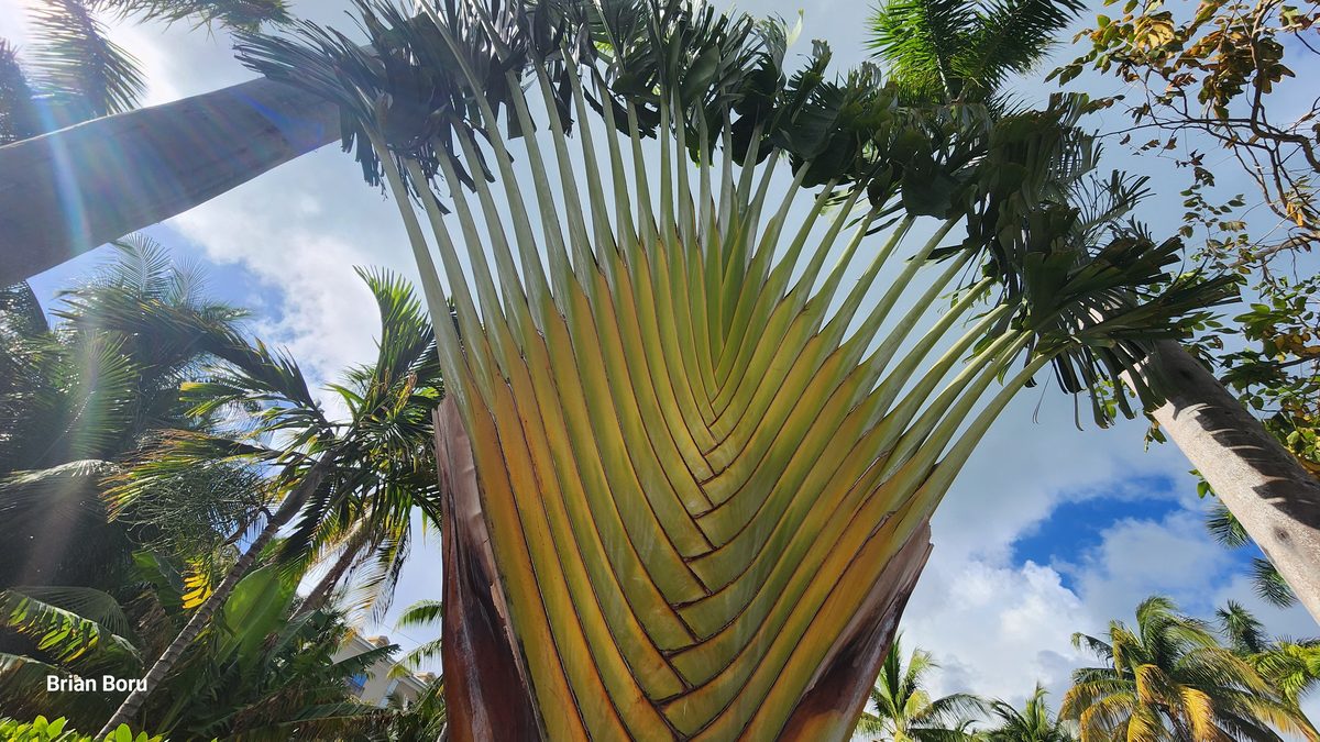 Cayman Islands scenery